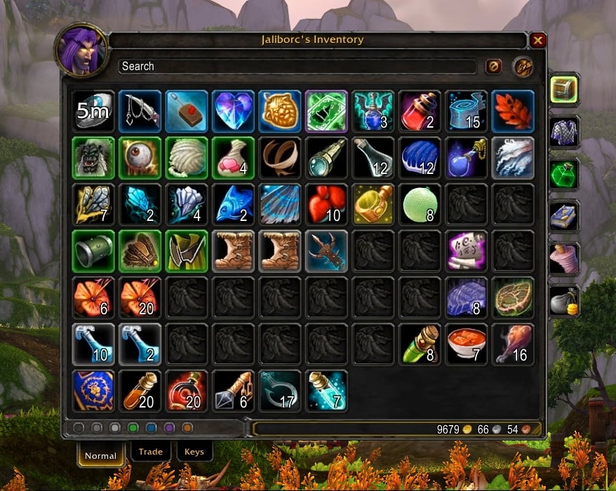 Bags, Bank, Inventory : World of Warcraft AddOns | World of warcraft  addons, World of warcraft, Warcraft